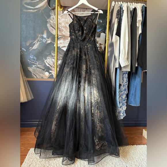 Black Beauty…you need darkness to see the stars!